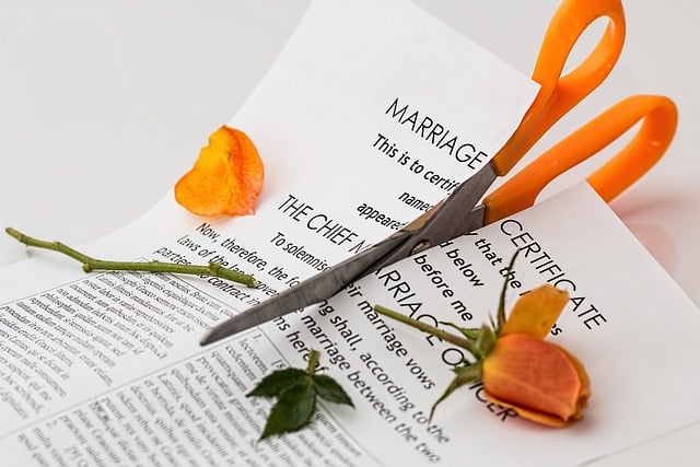 Solicitud de revisión de sentencia de divorcio-5
