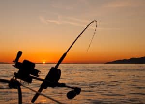 pesca